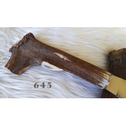 Coltello sardo a lama fissa da scanno, lama 21 cm, manico in corno di cervo